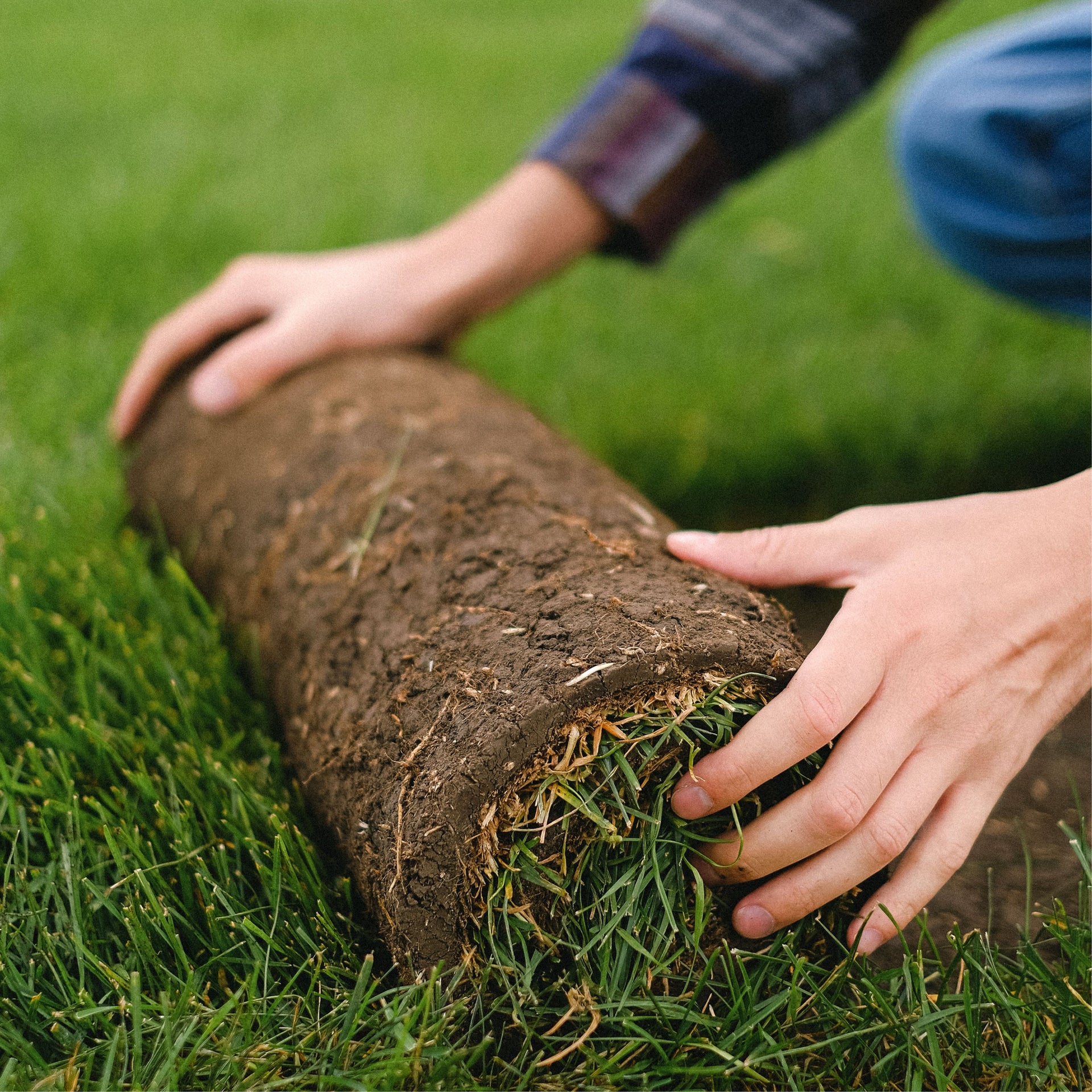 Gardening & Lawn Care