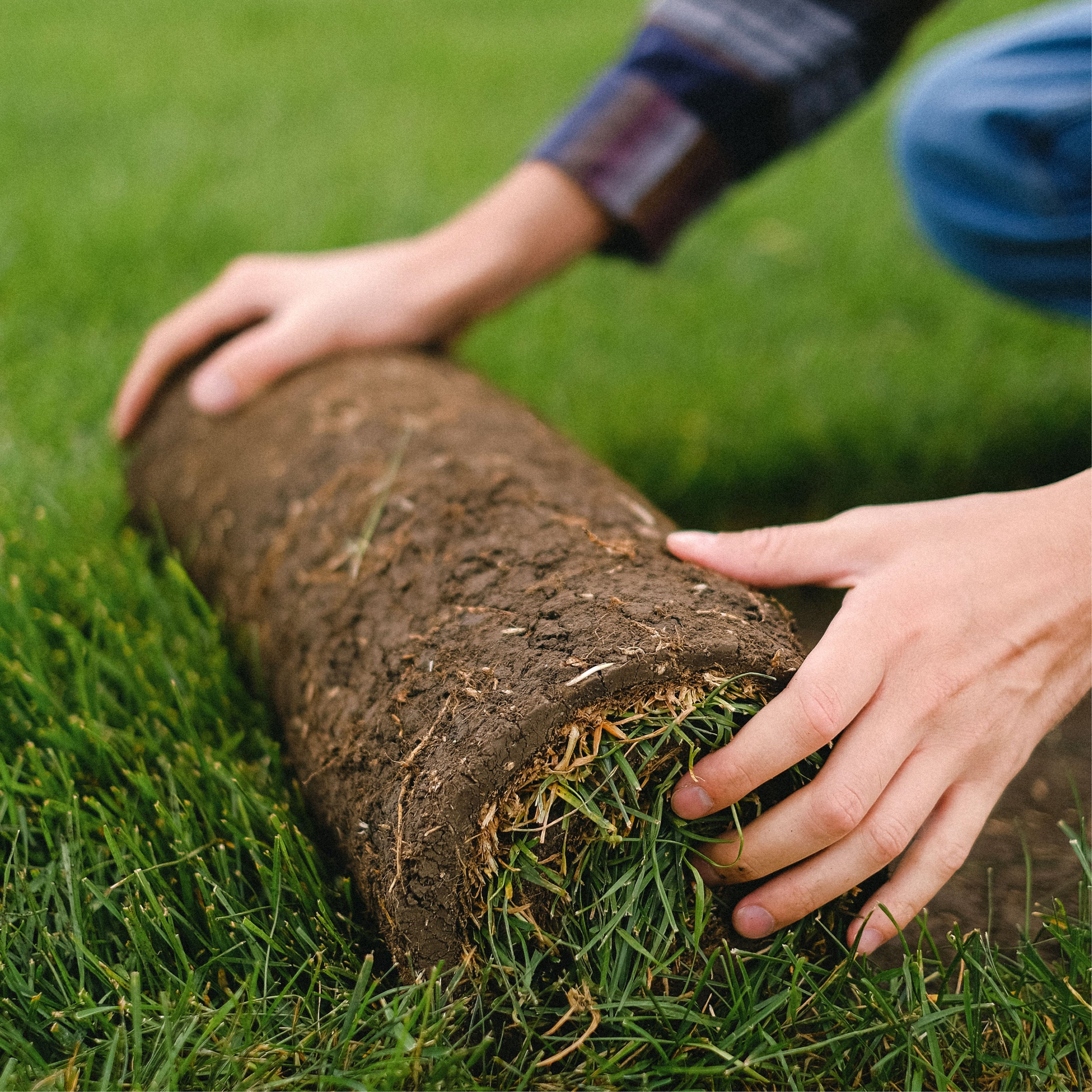 Gardening & Lawn Care