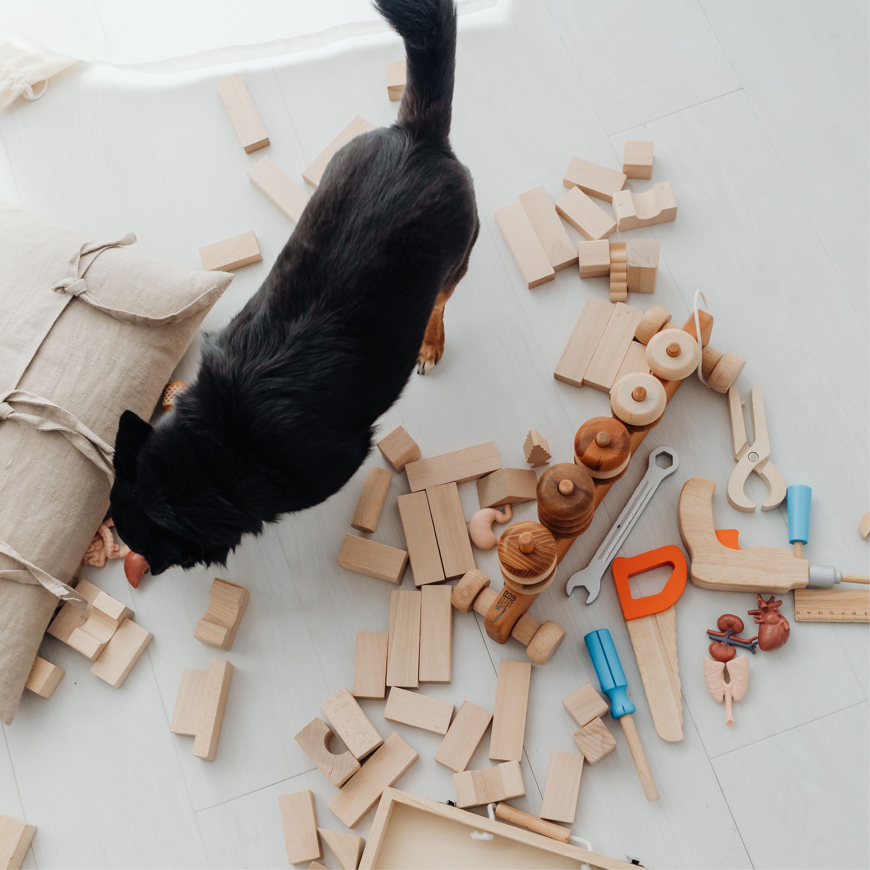 Pet Supplies