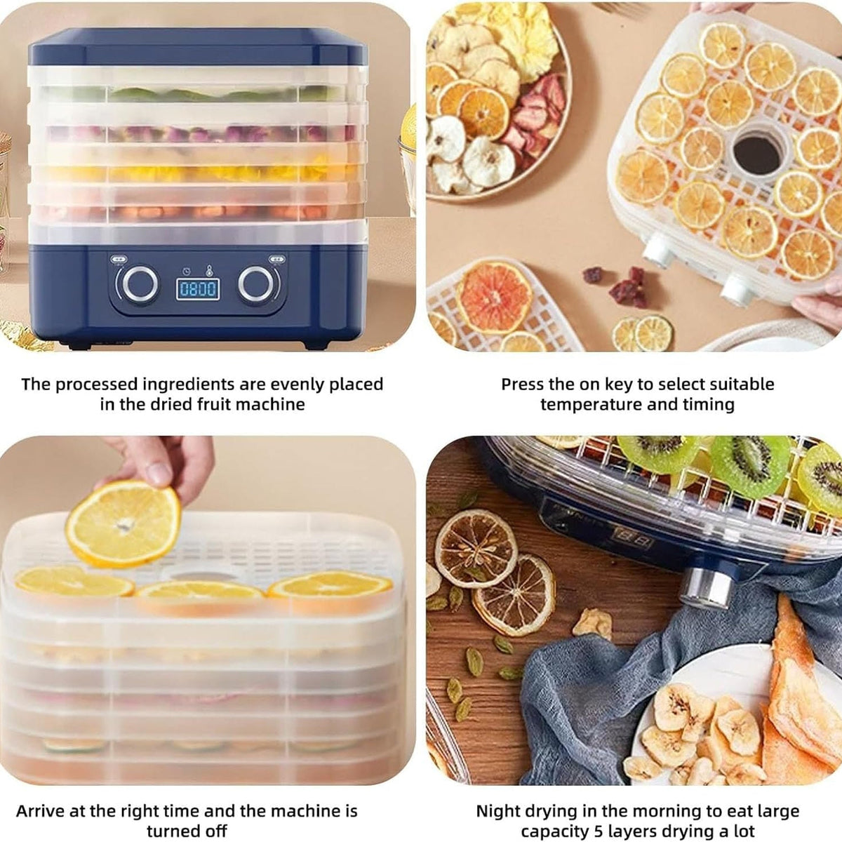 DryoraZes 5-Tray Food Dehydrator with 360° Airflow & Timer