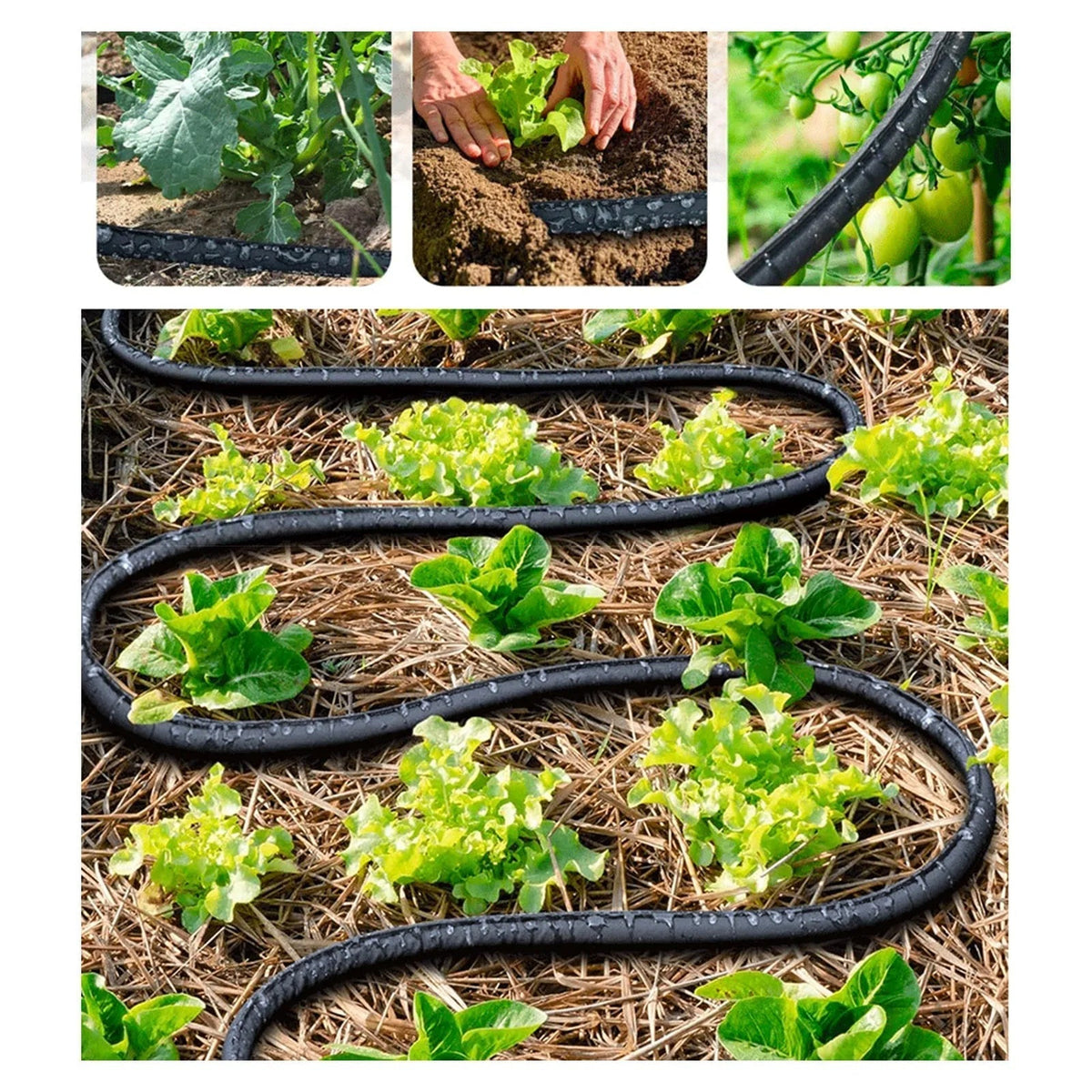 Soaklyx 100ft Garden Soaker Hose for Precision Root Irrigation
