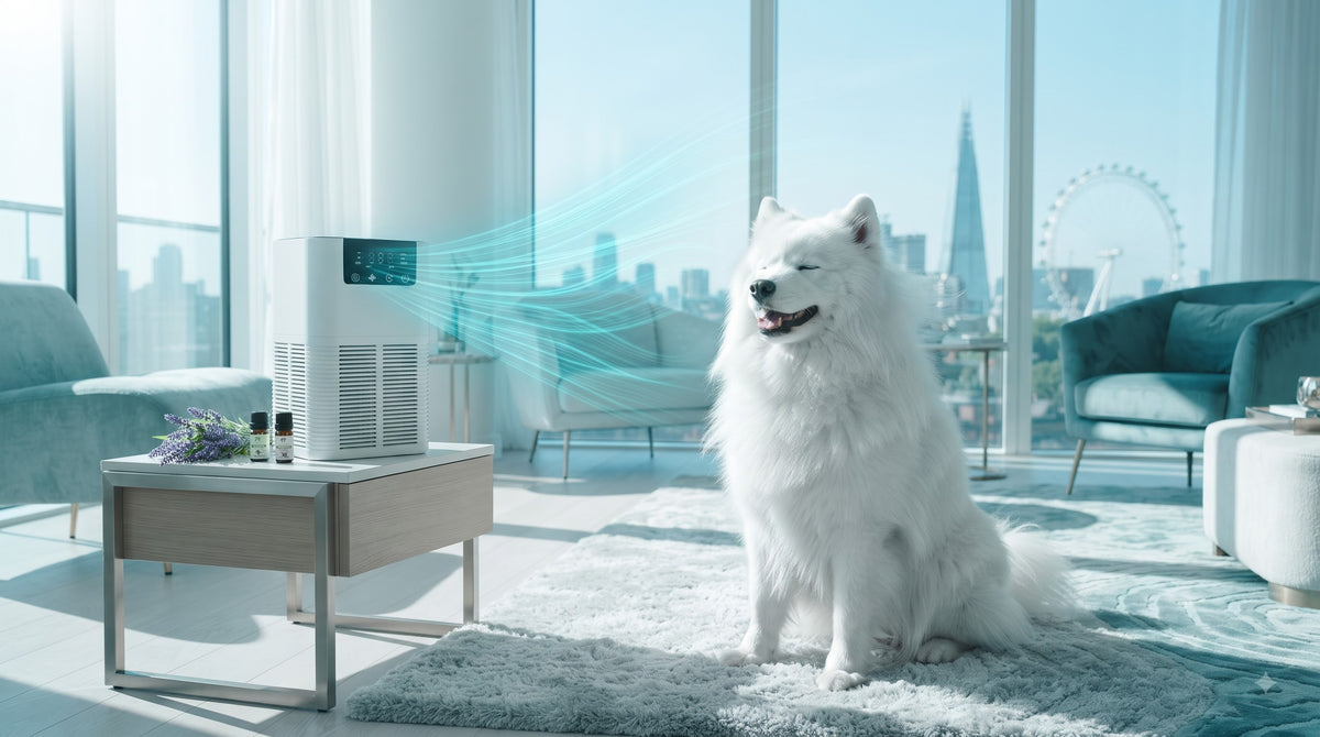 SnifClean Pet Air Purifier | HEPA Filter for Pet Odours & Dander