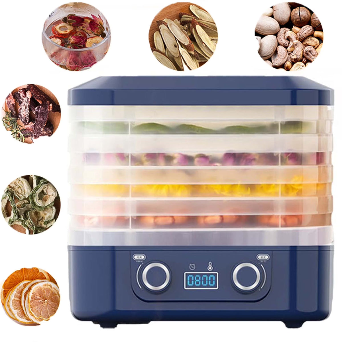 DryoraZes 5-Tray Food Dehydrator with 360° Airflow & Timer