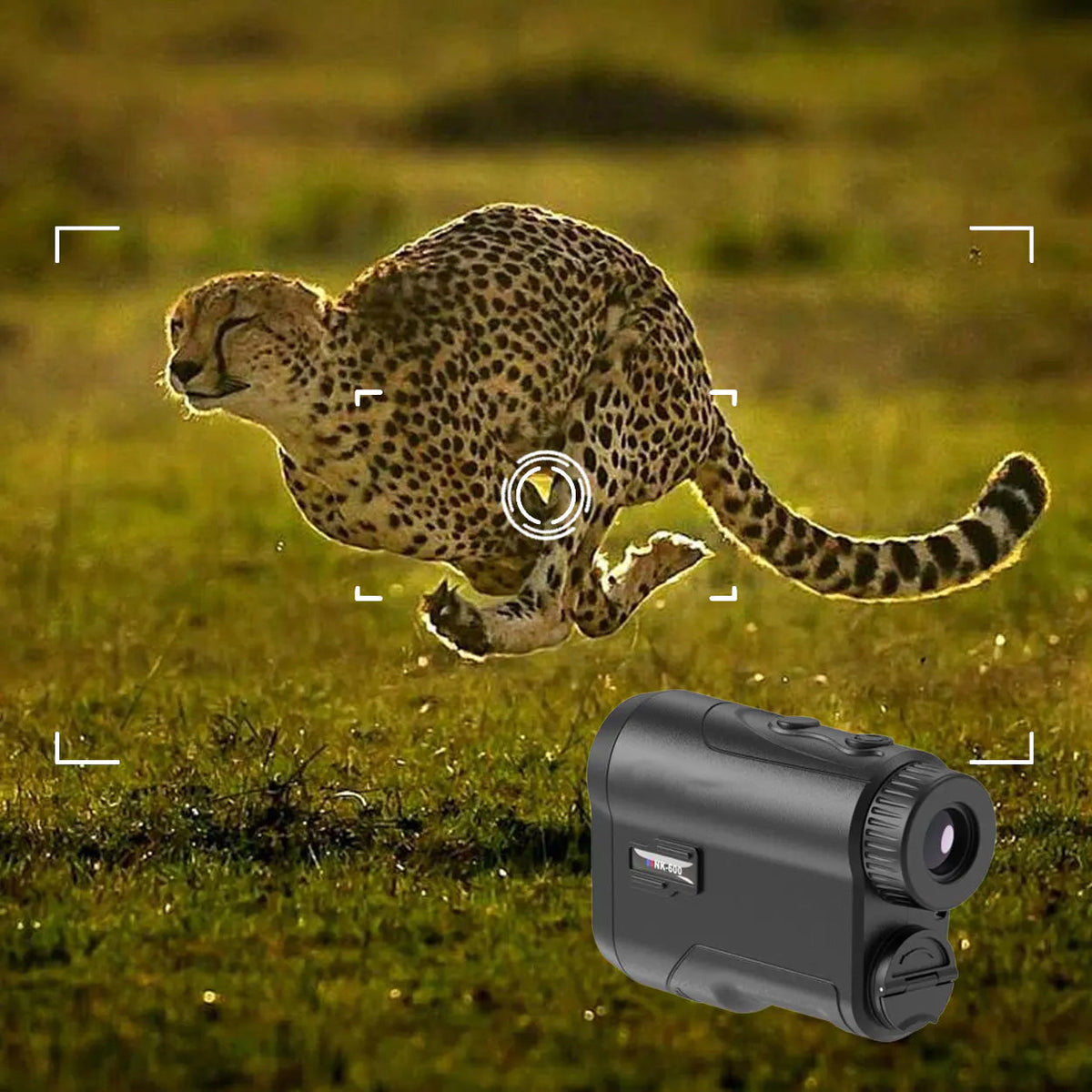 DistZac 650 Yard Compact Laser Rangefinder for Hunting