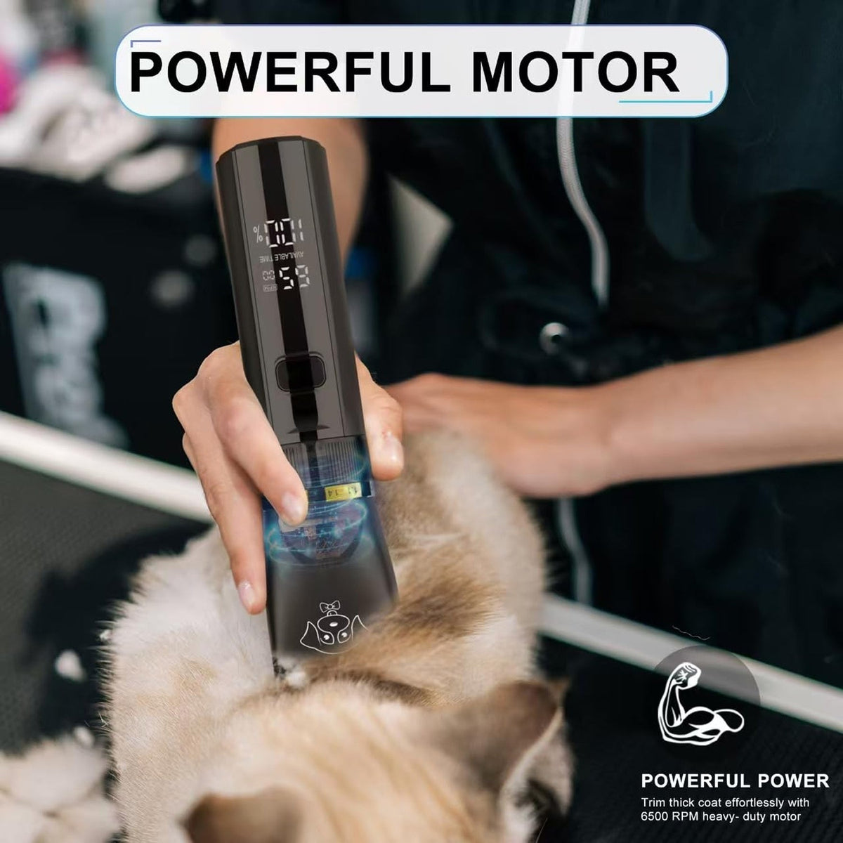 Eanmoda v2 Quiet Cordless Dog Clippers for Home Grooming