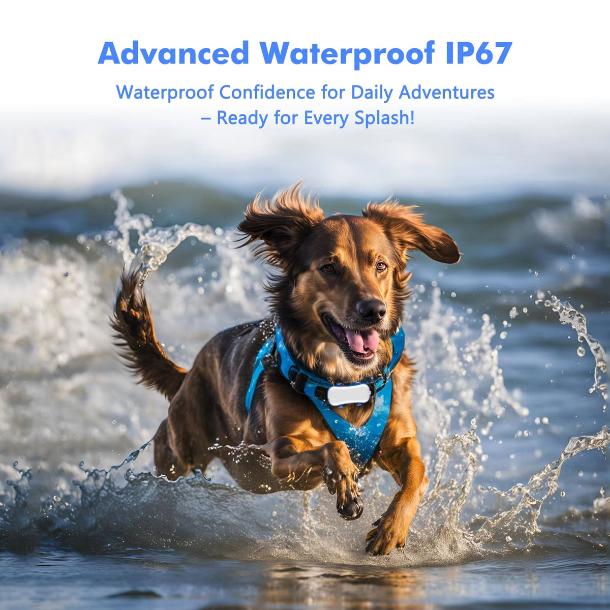 PupPinpoint 2.0 GPS Dog Tracker with Live Real-Time Updates