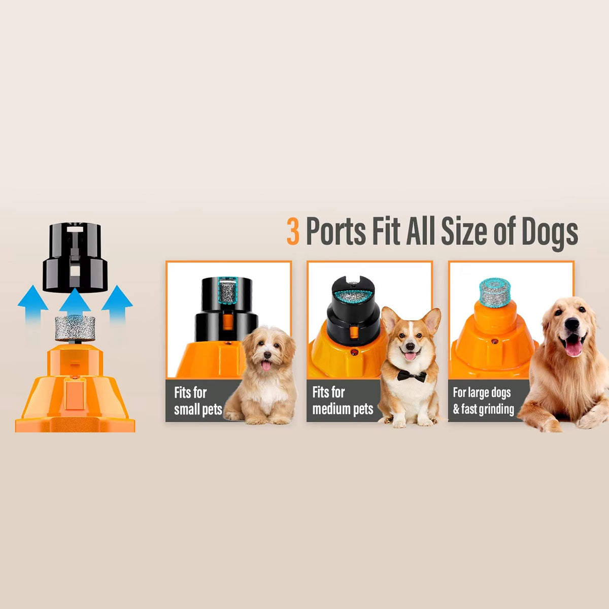 GrinPaw Quiet 6-Speed Pet Nail Grinder for Cats and Dogs