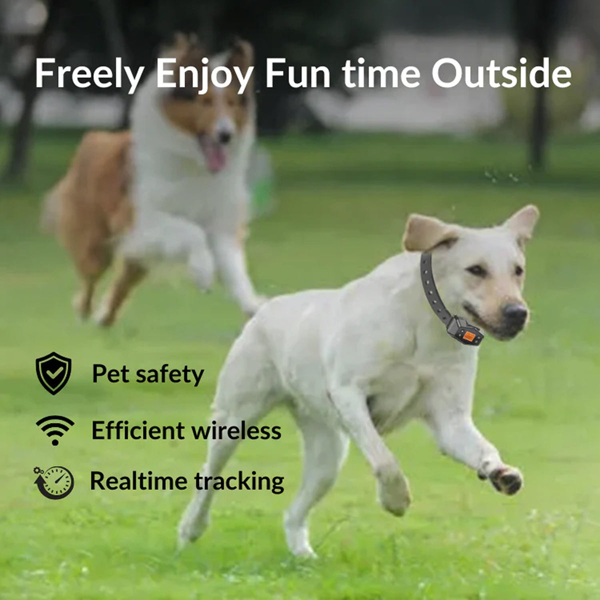 HavinFen GPS Dog Fence