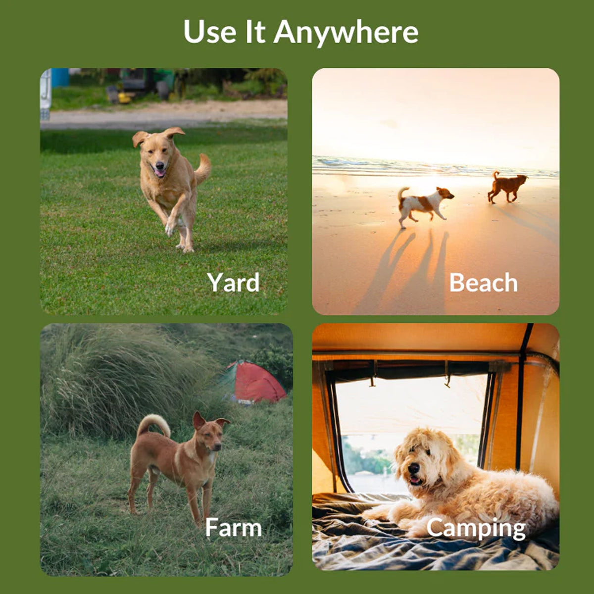 HavinFen GPS Dog Fence