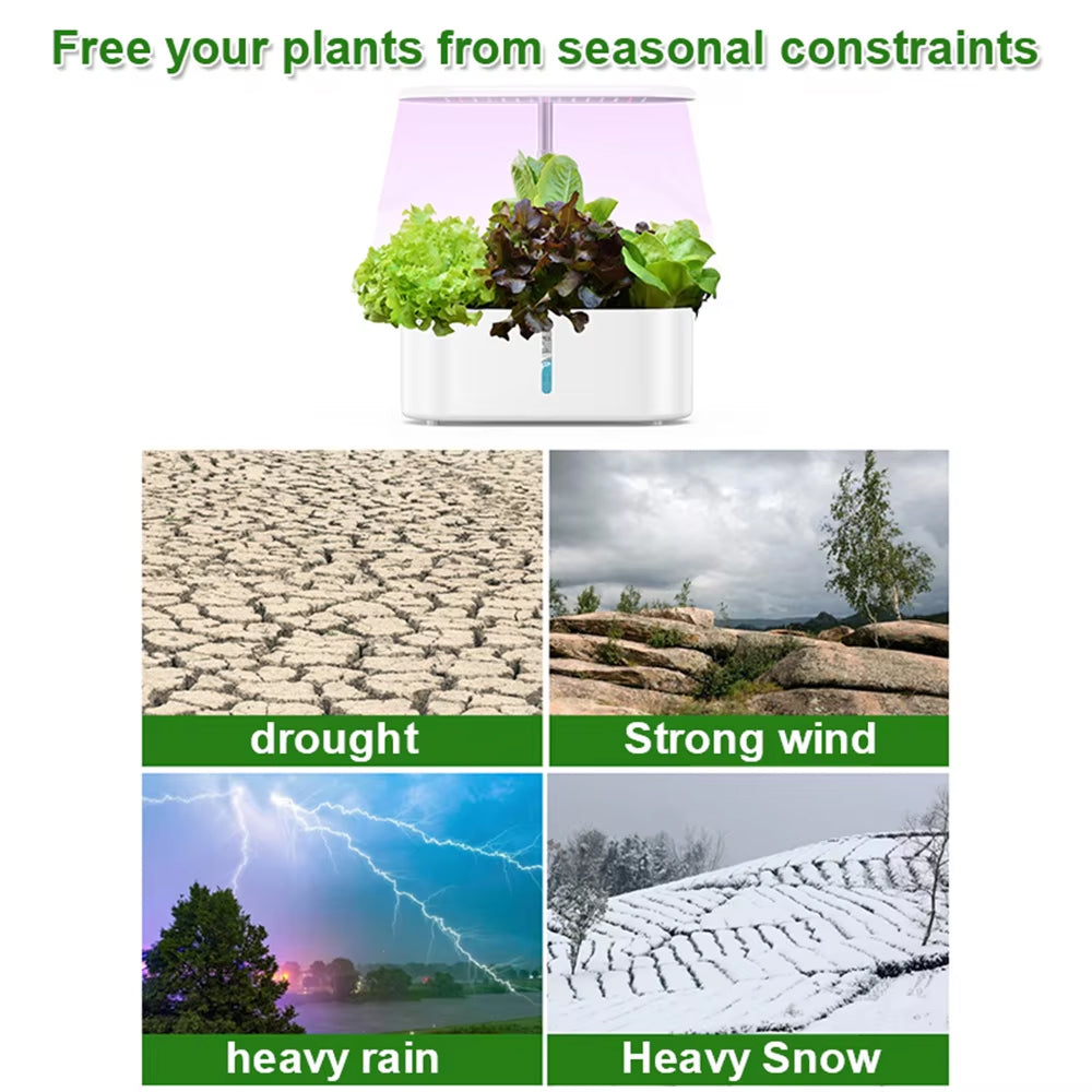 Hydreetry 10-Pod Hydroponic System - Smart Indoor Garden