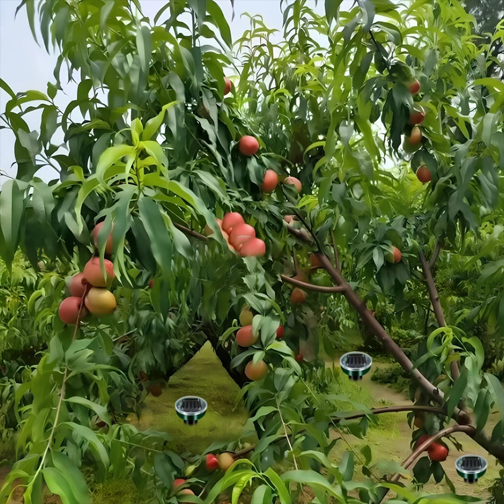 RatlyAway Solar Mole Repeller - Chemical-Free UK Garden Protection