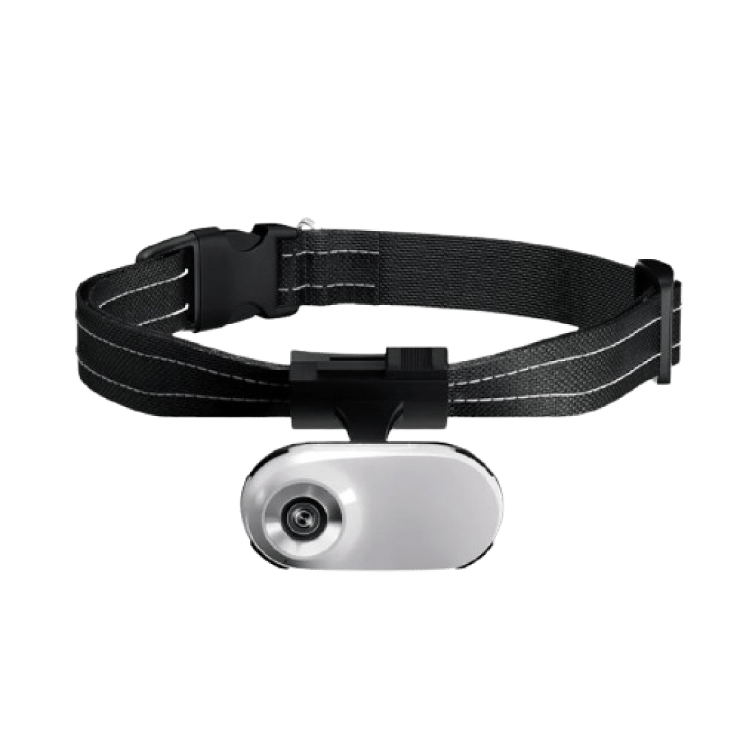 SnapPurr HD Cat Collar Camera | Featherlight Pet POV Video Recorder