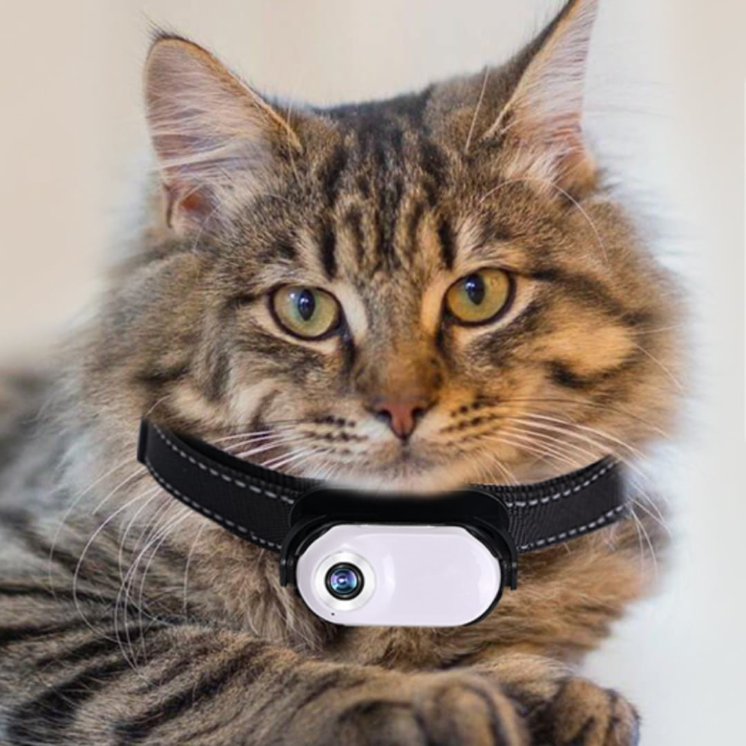 SnapPurr HD Cat Collar Camera | Featherlight Pet POV Video Recorder