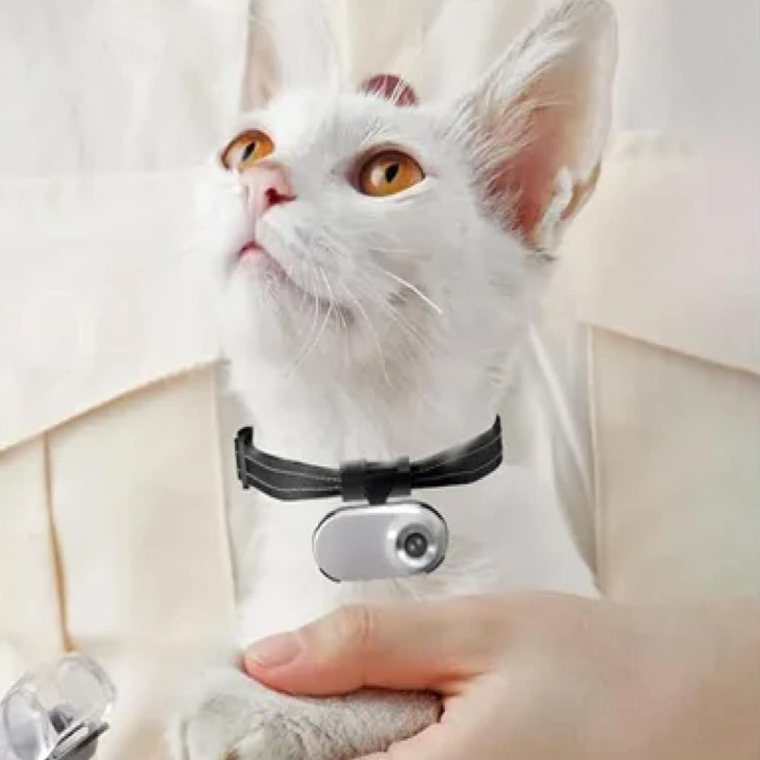 SnapPurr HD Cat Collar Camera | Featherlight Pet POV Video Recorder