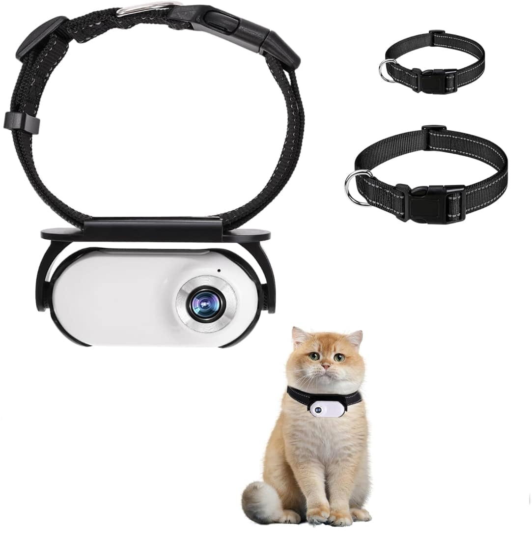 SnapPurr HD Cat Collar Camera | Featherlight Pet POV Video Recorder