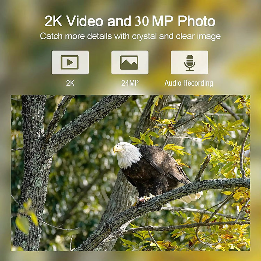 Professional Cellular Trail Camera UK | Trailaxzi 30MP HD