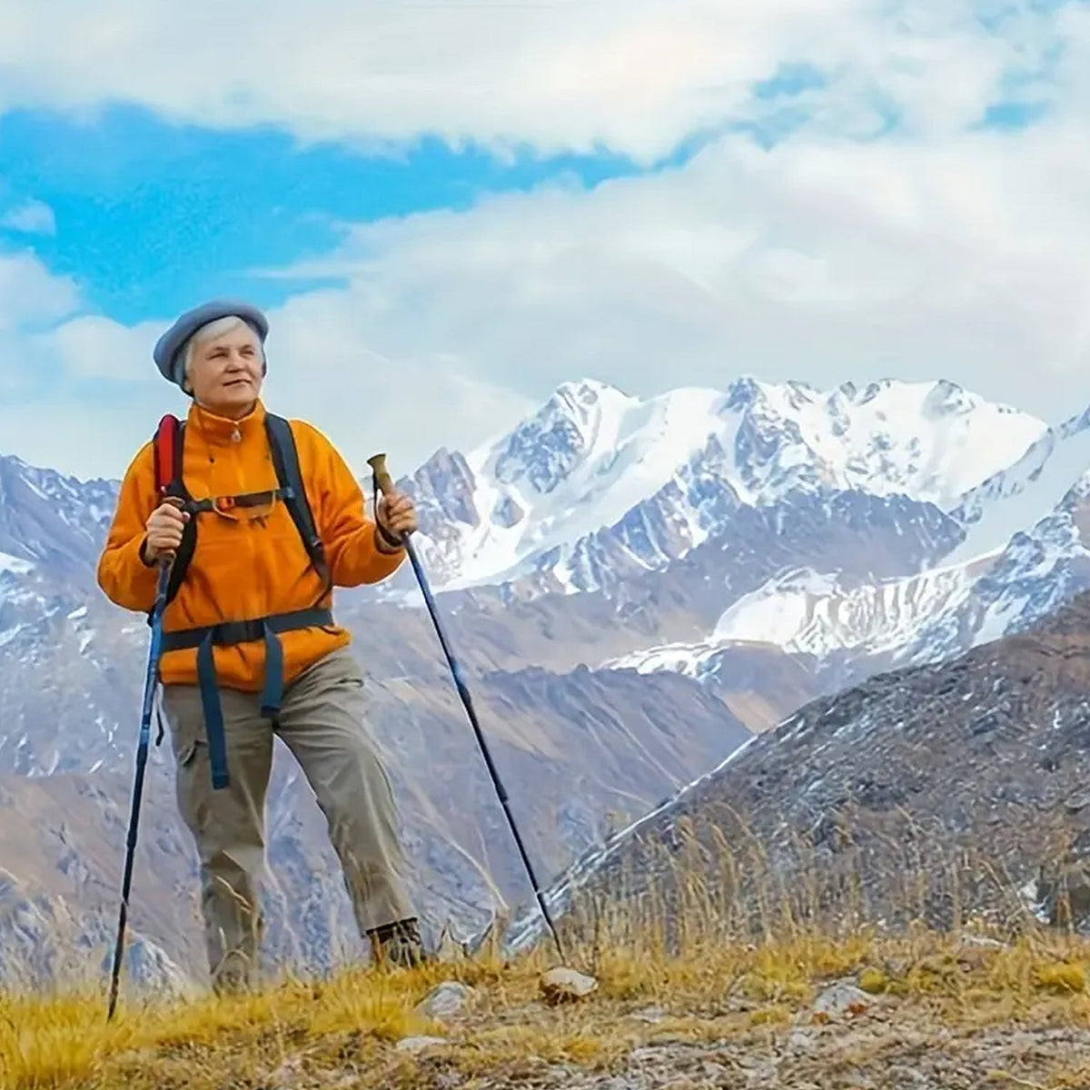 VertoTrek Lightweight Collapsible Aluminum Hiking Poles
