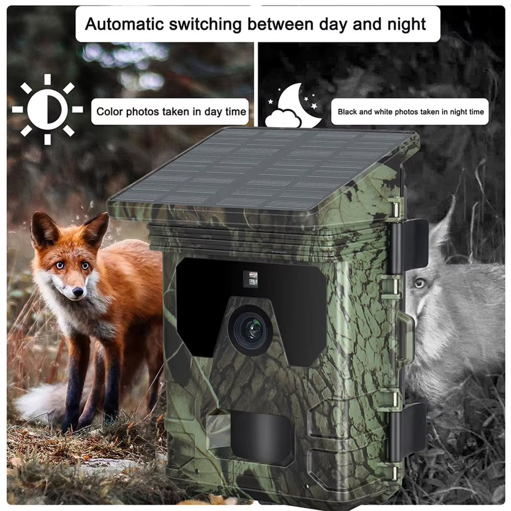 Wildsnap v2 Solar Powered Trail Camera