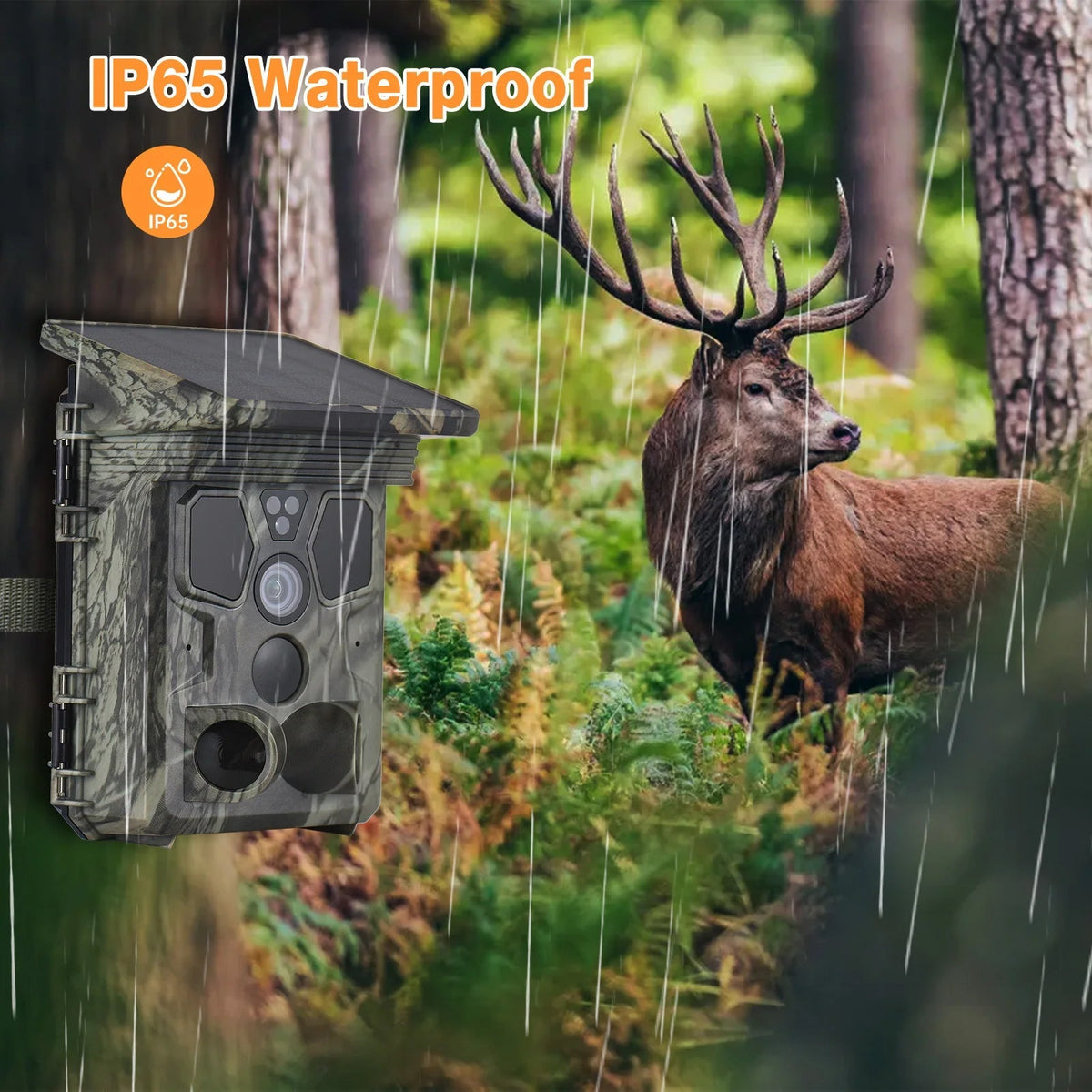 Wildsnap V3 Solar Powered Trail Camera 50MP 4K