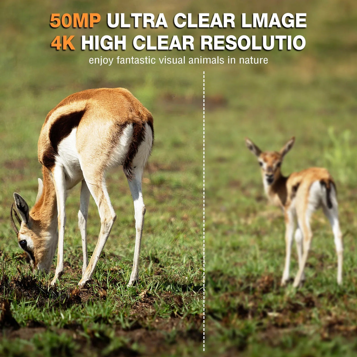 Wildsnap V3 Solar Powered Trail Camera 50MP 4K