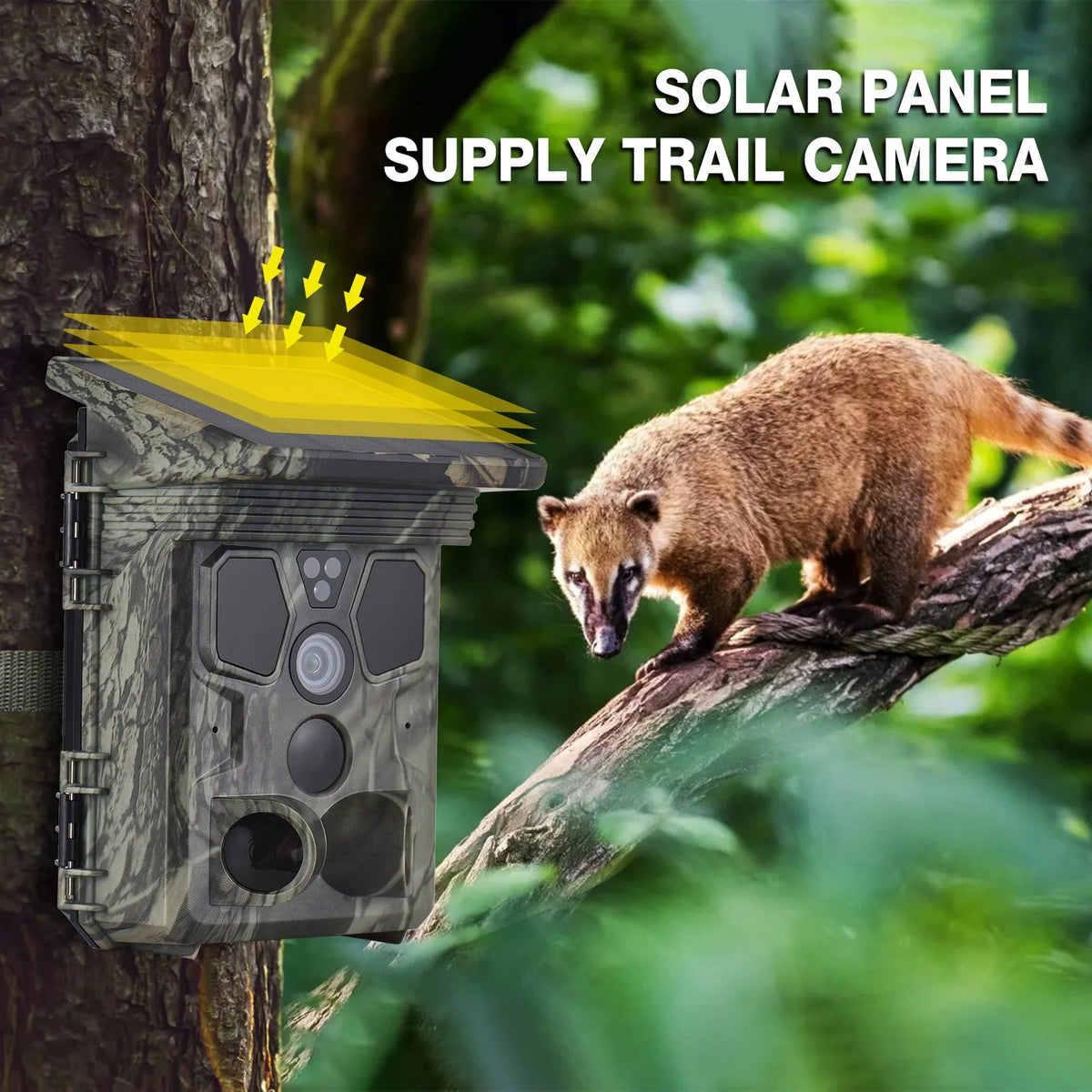 Wildsnap V3 Solar Powered Trail Camera 50MP 4K