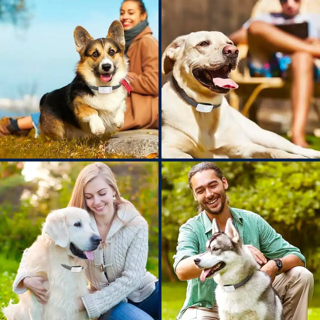 Zerobark Dog Bark Collar